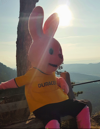 Thomas_Unterberger-superberg-duracell_final